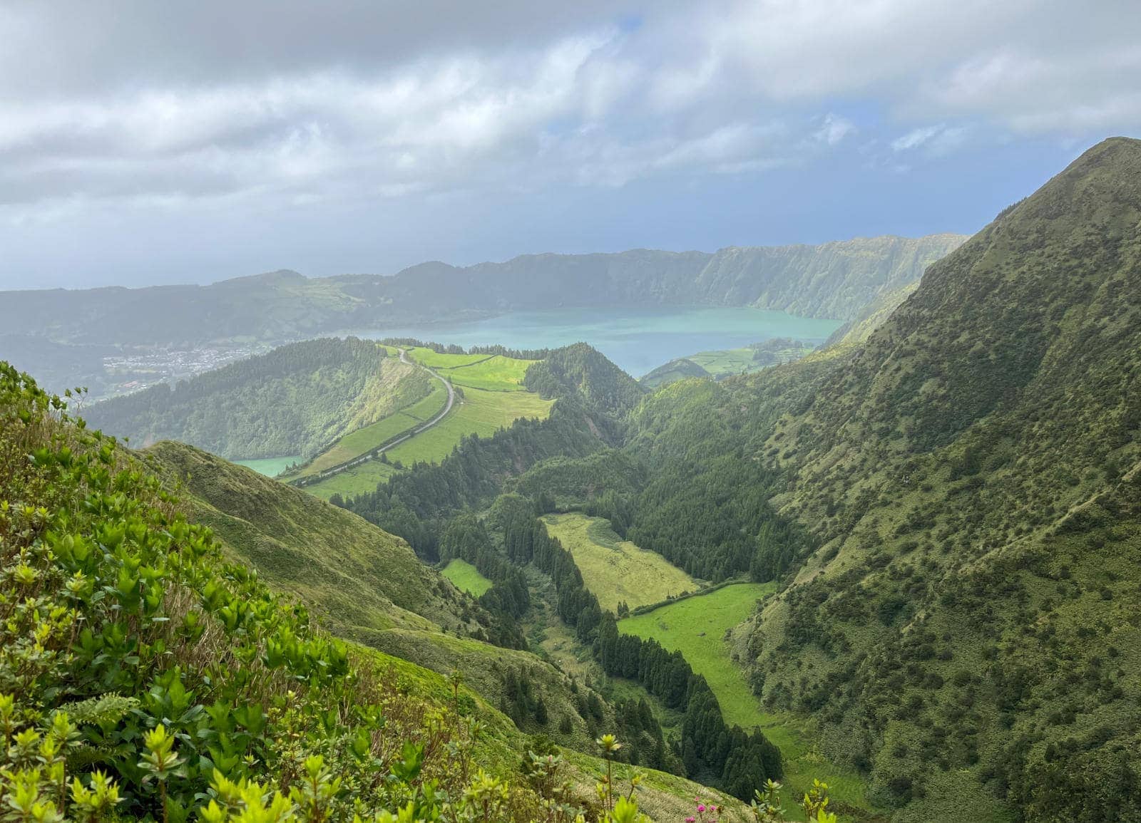 The Azores are wild